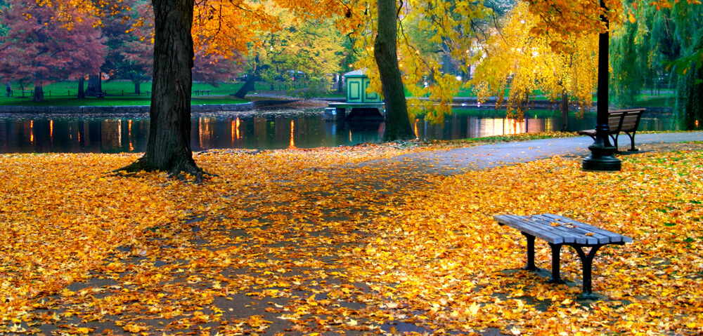 Fall Storage Tips to Help You Get Ready for Winter | StorageArea Blog